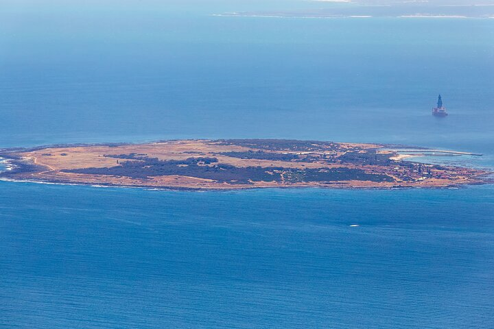 Half-Day Private Tour to Robben Island with Expert Guide - Photo 1 of 6